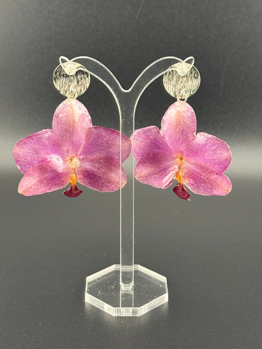 Echte Blütenohrringe aus Orchideen - Handgefertigt mit UV Harz #606