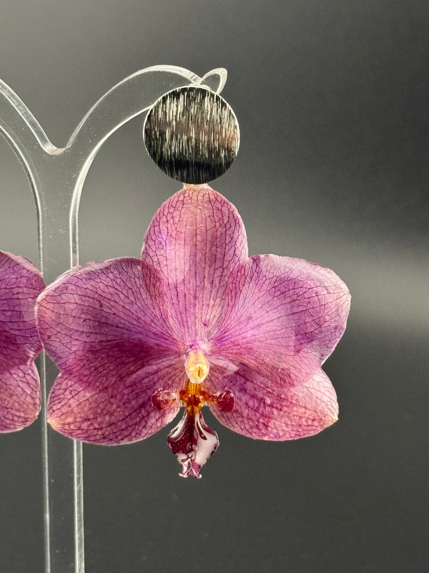 Echte Blütenohrringe aus Orchideen - Handgefertigt mit UV Harz #606