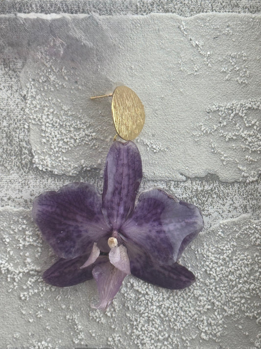 Echte Blütenohrringe aus Orchideen - Handgefertigt mit UV Harz #504