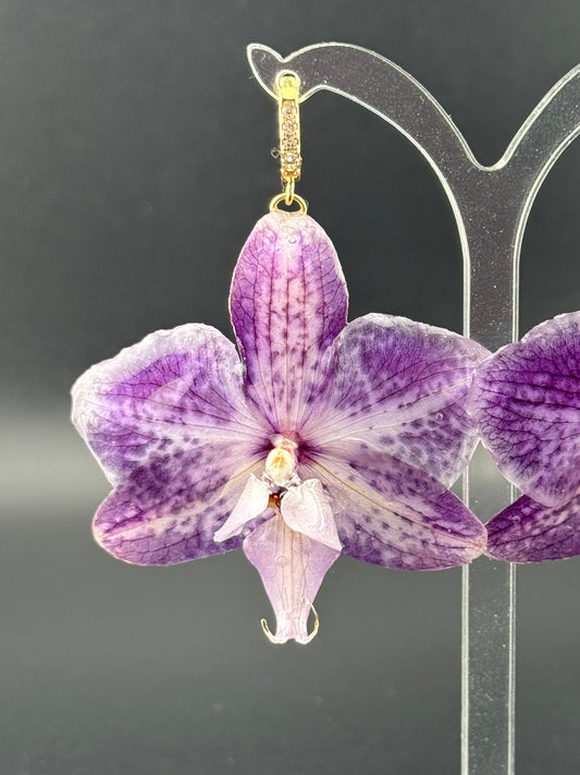 Echte Blütenohrringe aus Orchideen - Handgefertigt mit UV Harz #403