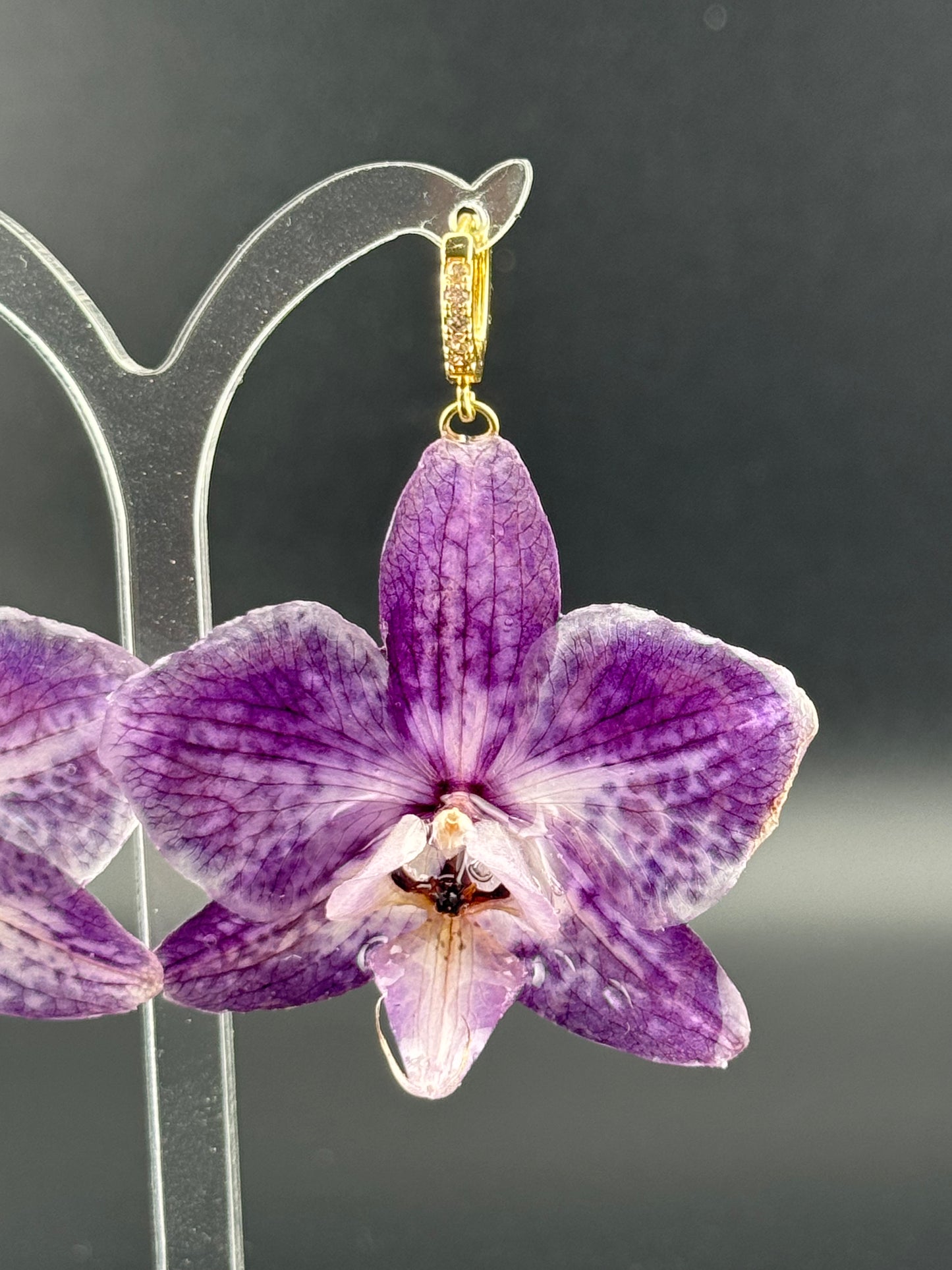 Echte Blütenohrringe aus Orchideen - Handgefertigt mit UV Harz #403