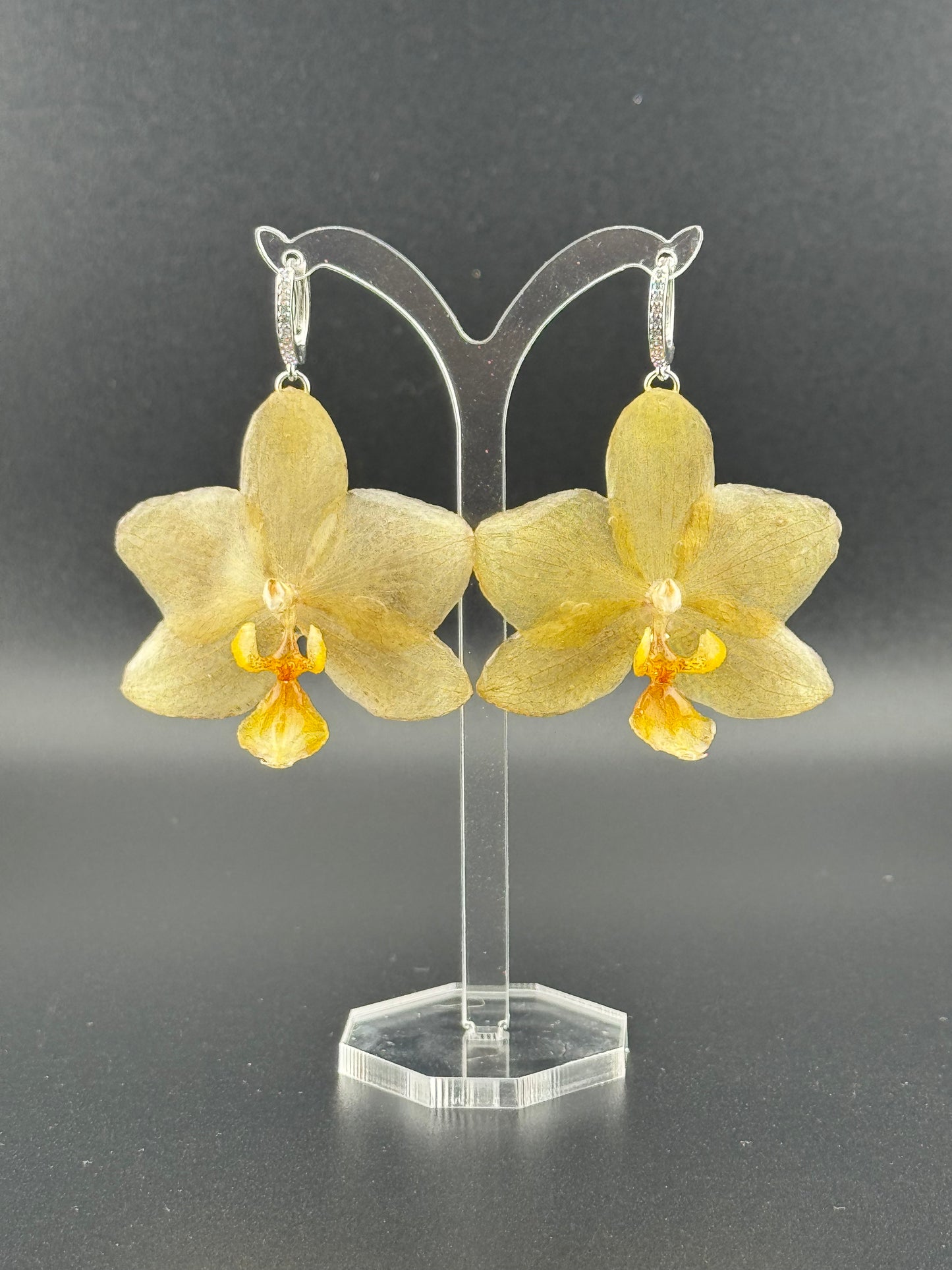 Echte Blütenohrringe aus Orchideen - Handgefertigt mit UV Harz #404