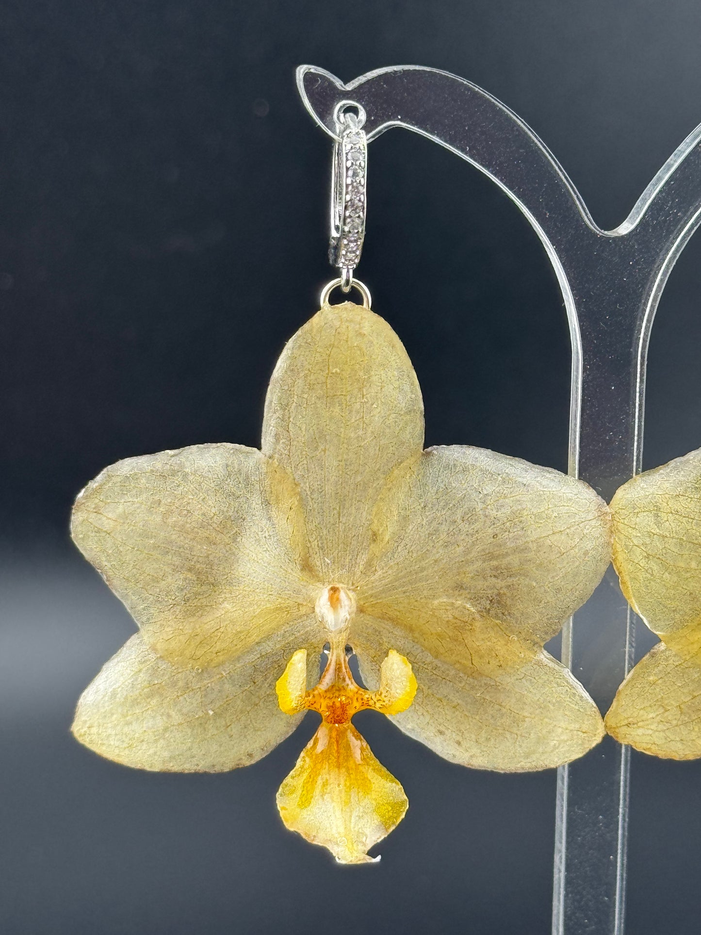 Echte Blütenohrringe aus Orchideen - Handgefertigt mit UV Harz #404
