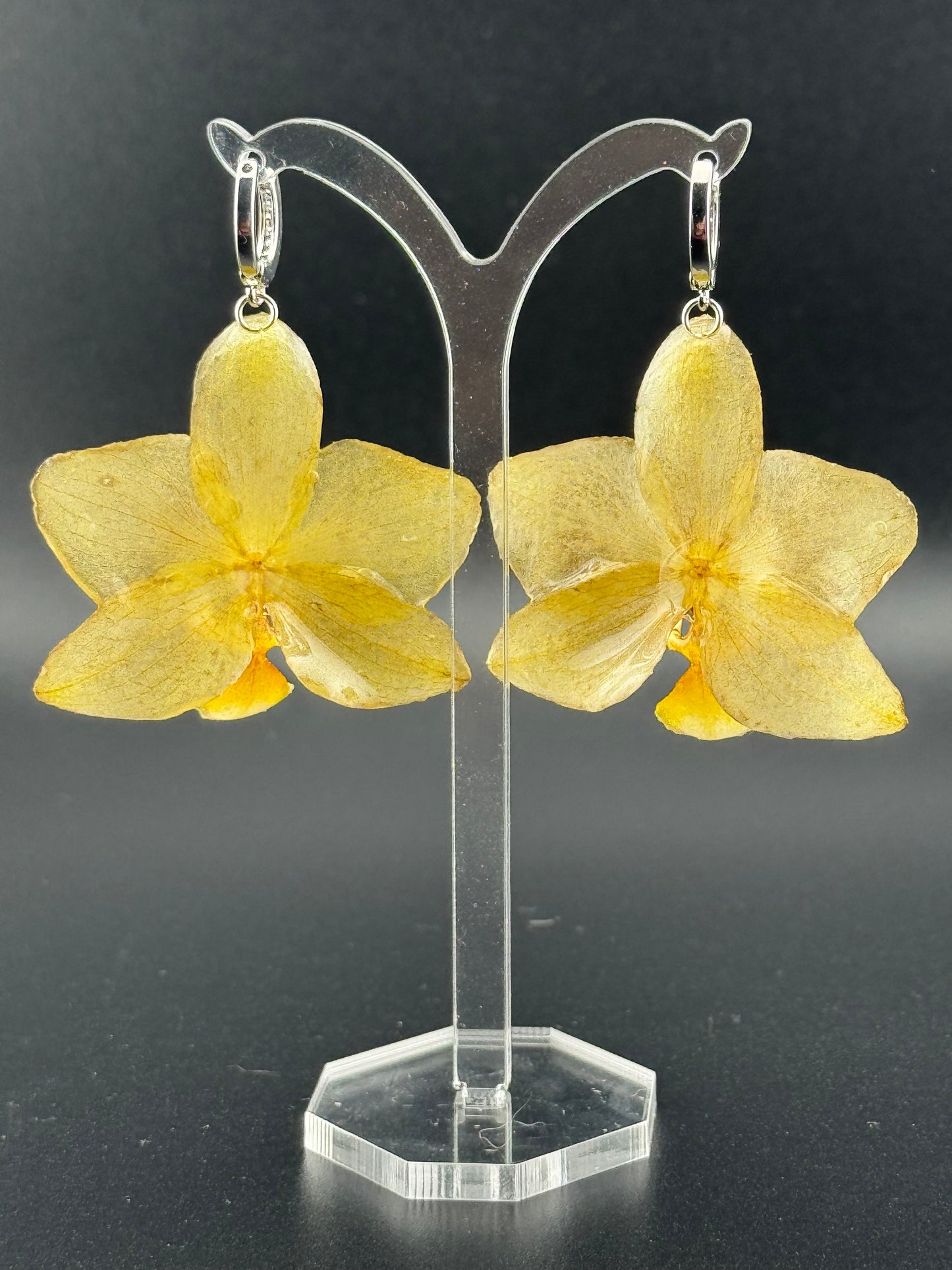 Echte Blütenohrringe aus Orchideen - Handgefertigt mit UV Harz #404