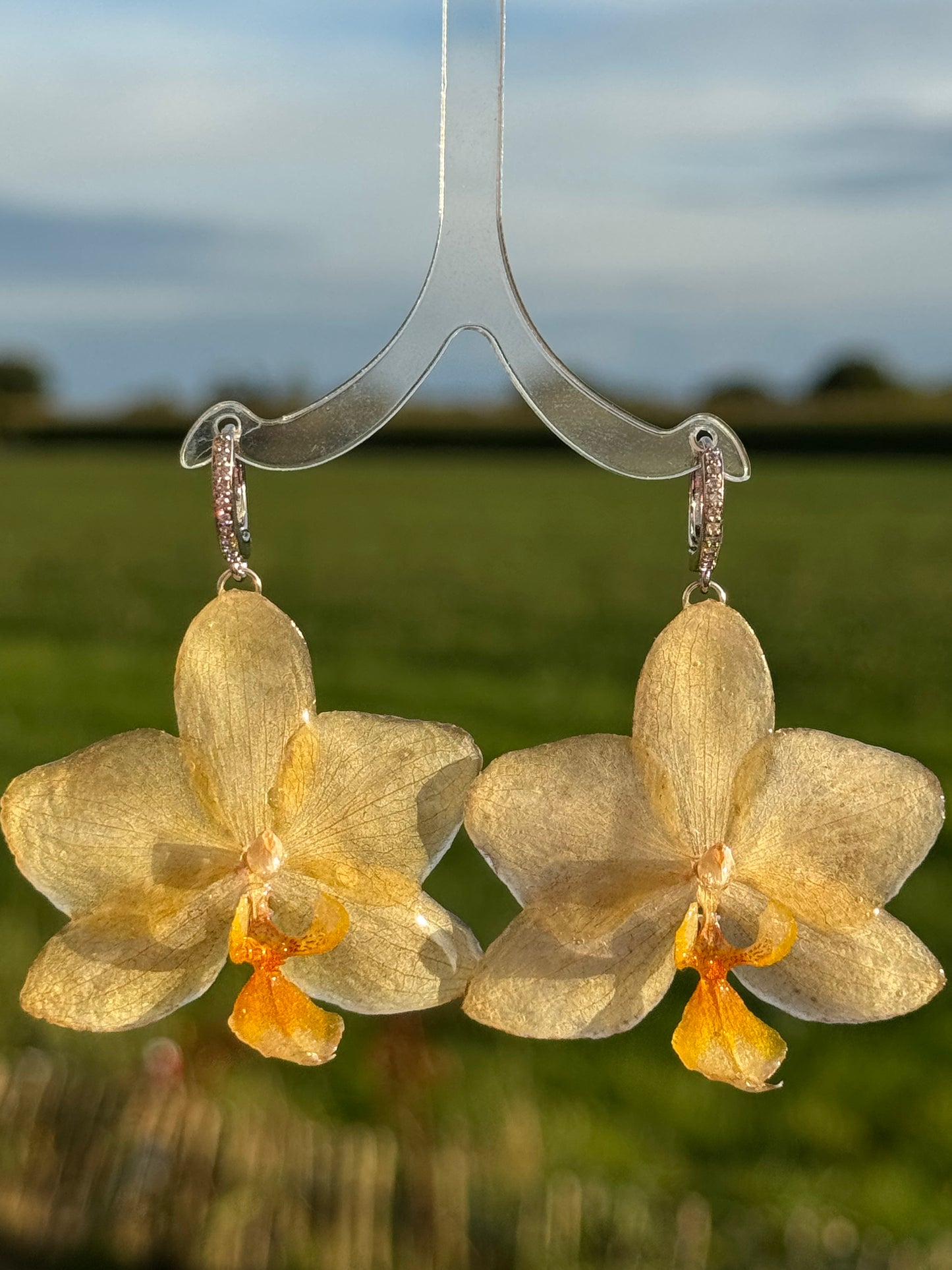 Echte Blütenohrringe aus Orchideen - Handgefertigt mit UV Harz #404