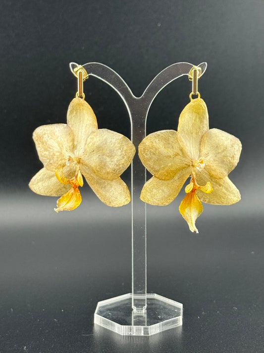 Echte Blütenohrringe aus Orchideen - Handgefertigt mit UV Harz #405