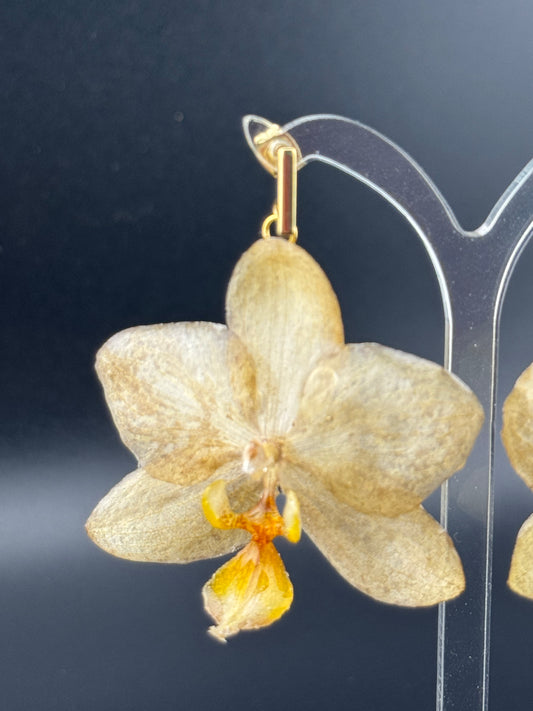 Echte Blütenohrringe aus Orchideen - Handgefertigt mit UV Harz #405