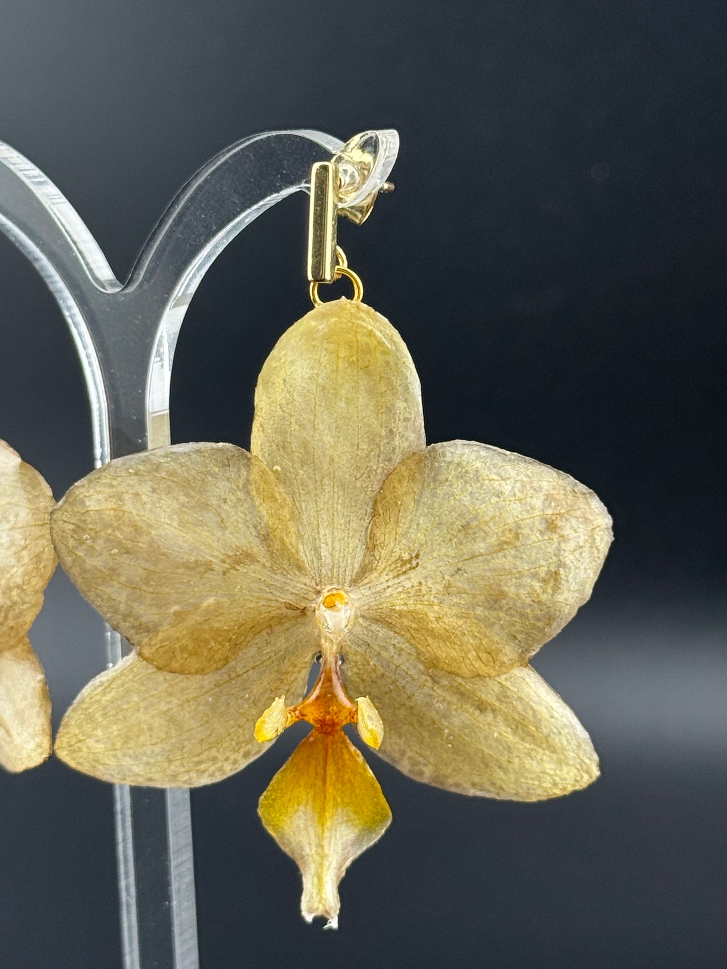 Echte Blütenohrringe aus Orchideen - Handgefertigt mit UV Harz #405
