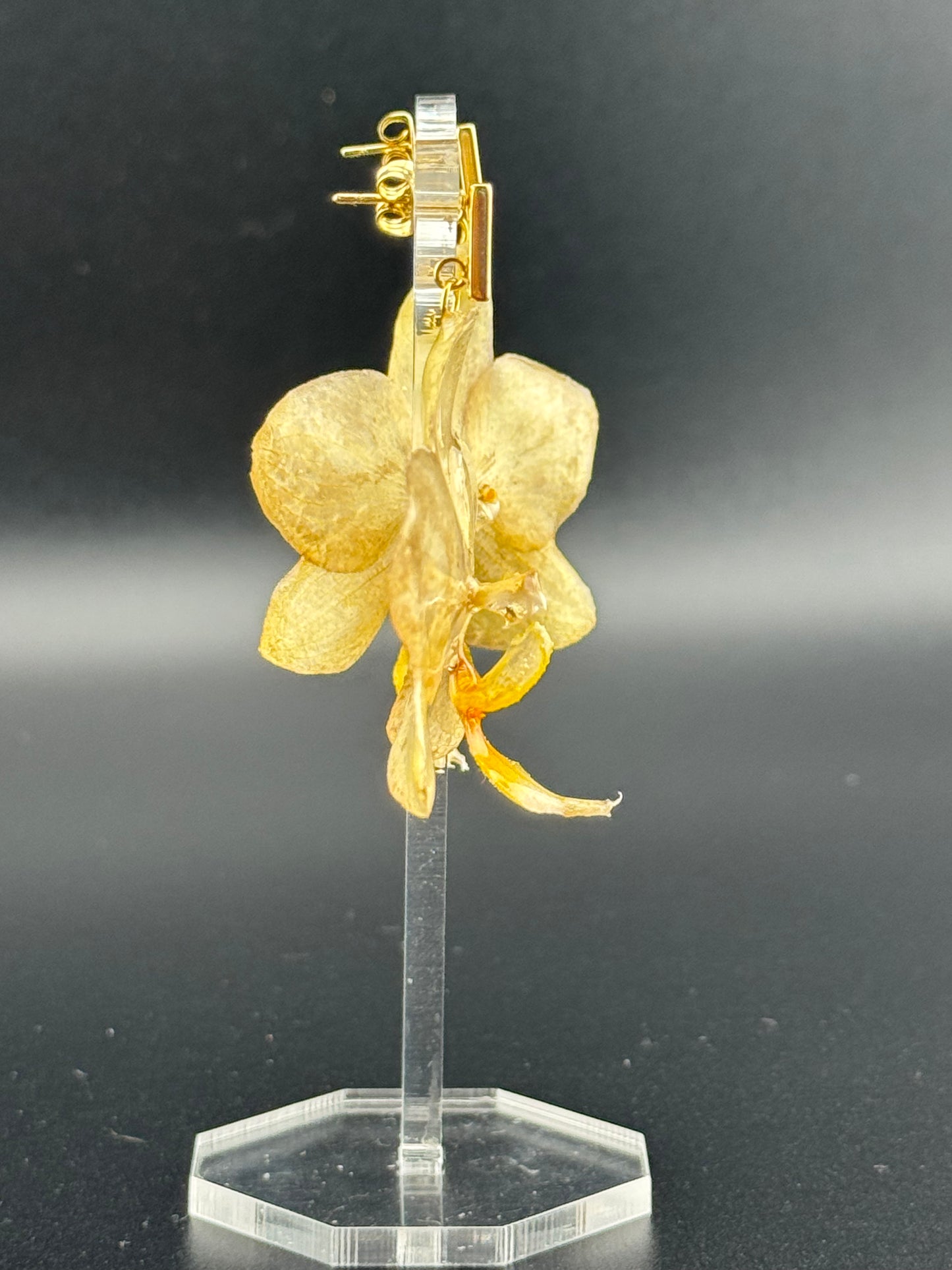 Echte Blütenohrringe aus Orchideen - Handgefertigt mit UV Harz #405