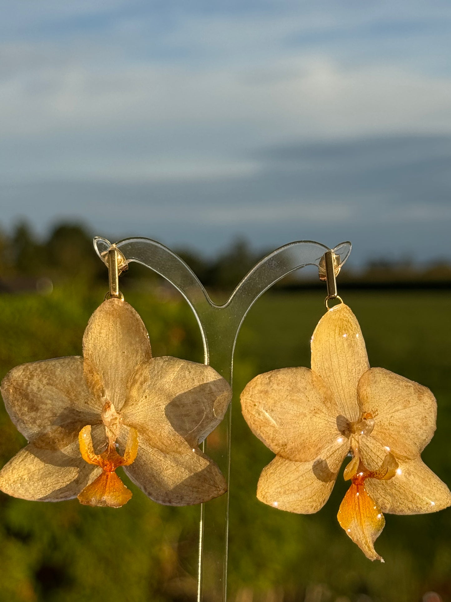 Echte Blütenohrringe aus Orchideen - Handgefertigt mit UV Harz #405