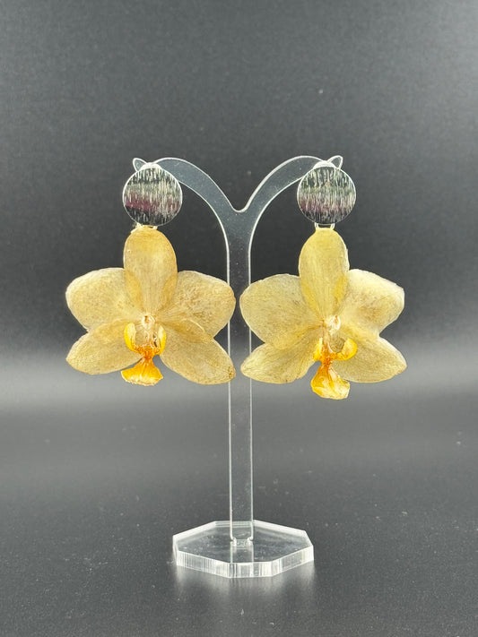 Echte Blütenohrringe aus Orchideen - Handgefertigt mit UV Harz #406