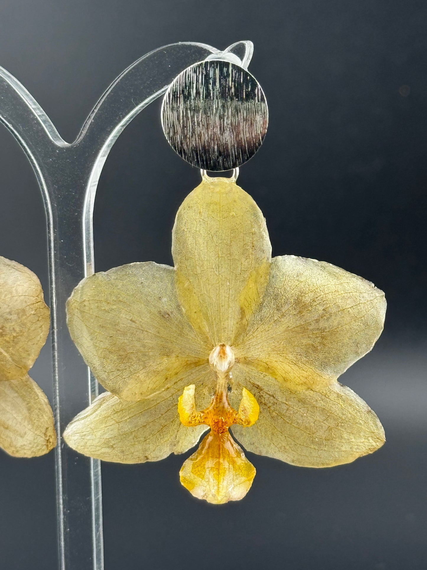 Echte Blütenohrringe aus Orchideen - Handgefertigt mit UV Harz #406
