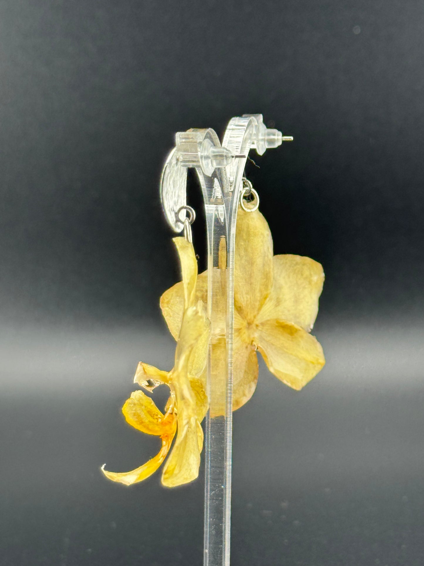 Echte Blütenohrringe aus Orchideen - Handgefertigt mit UV Harz #406