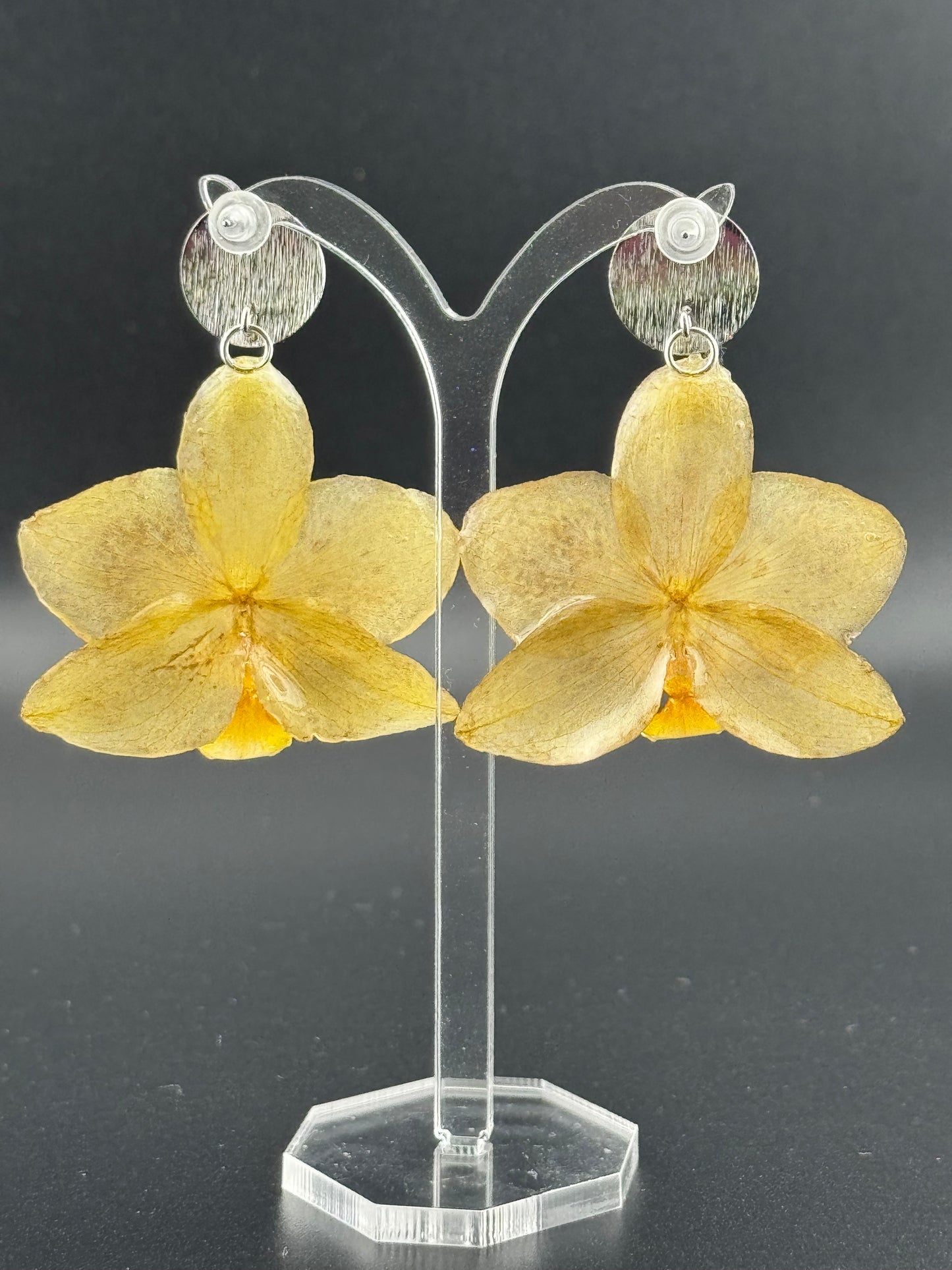 Echte Blütenohrringe aus Orchideen - Handgefertigt mit UV Harz #406