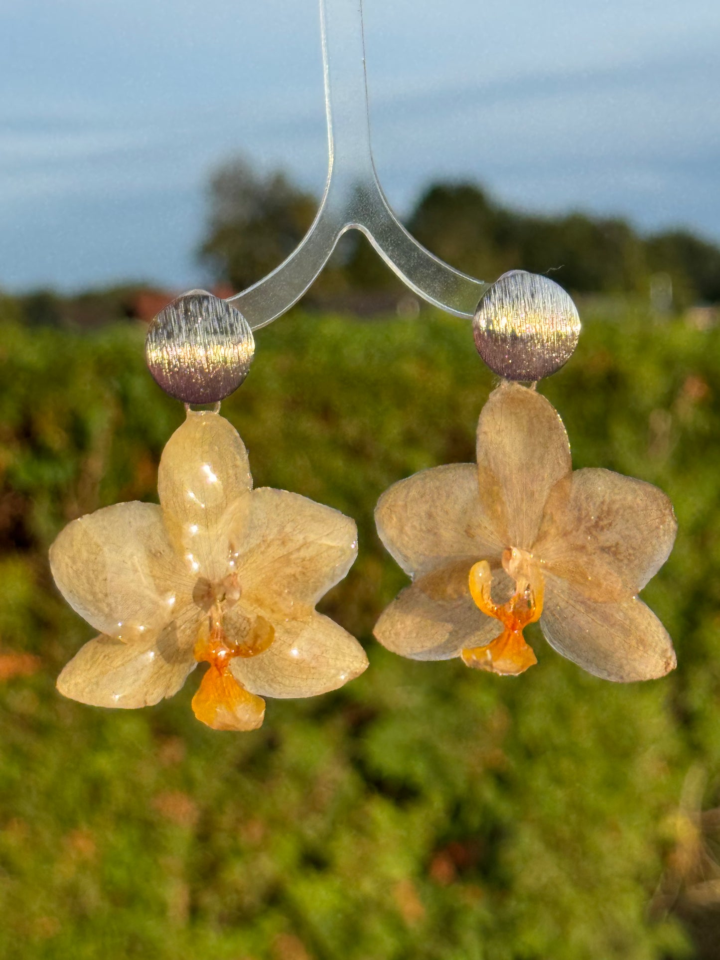 Echte Blütenohrringe aus Orchideen - Handgefertigt mit UV Harz #406