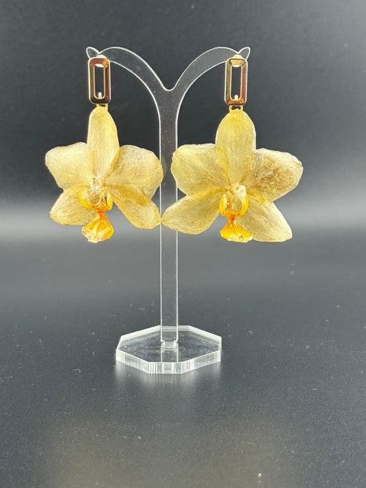 Echte Blütenohrringe aus Orchideen - Handgefertigt mit UV Harz #407