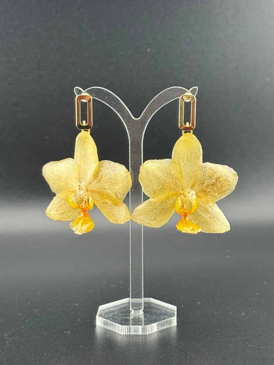 Echte Blütenohrringe aus Orchideen - Handgefertigt mit UV Harz #407