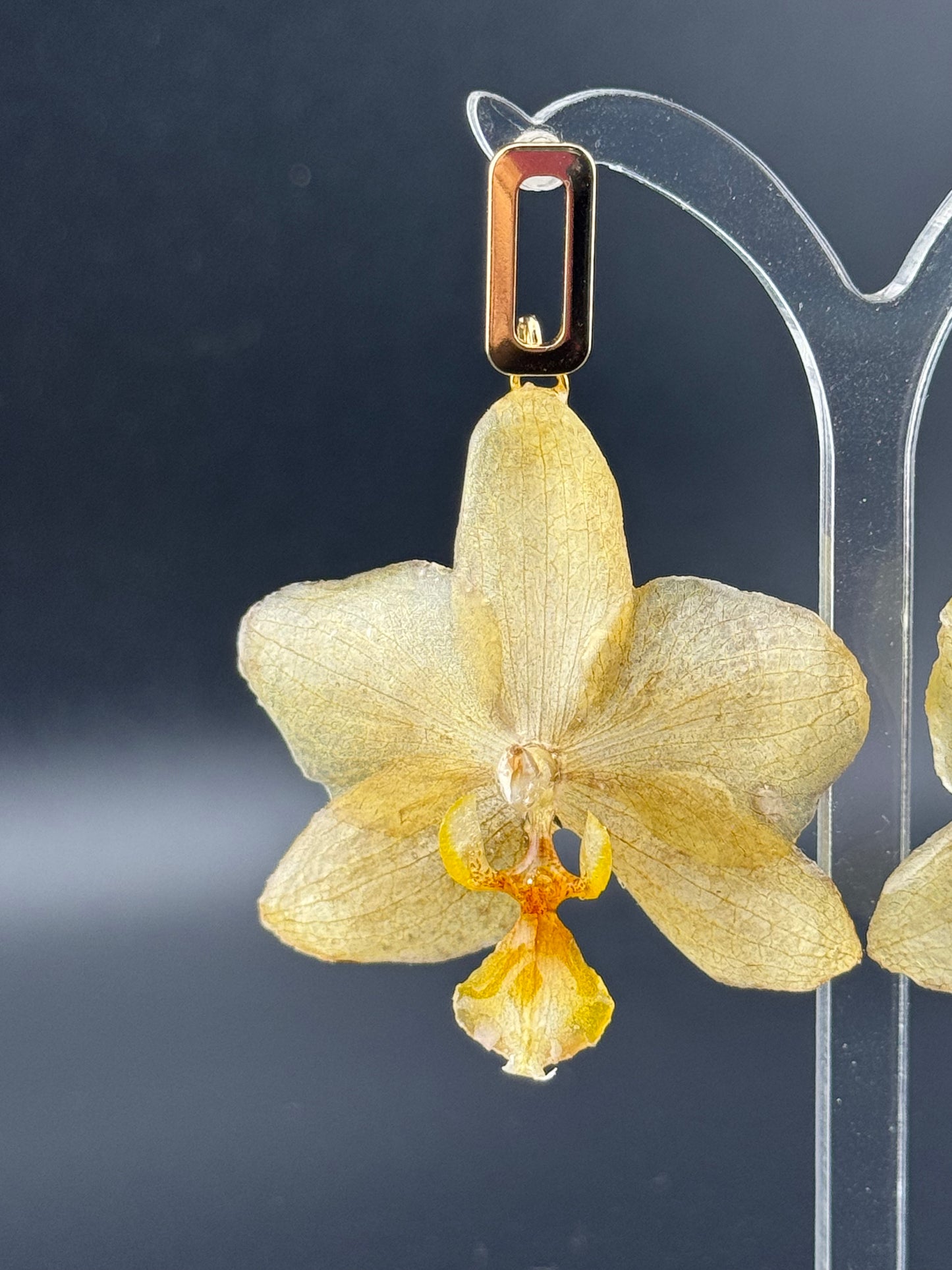 Echte Blütenohrringe aus Orchideen - Handgefertigt mit UV Harz #407