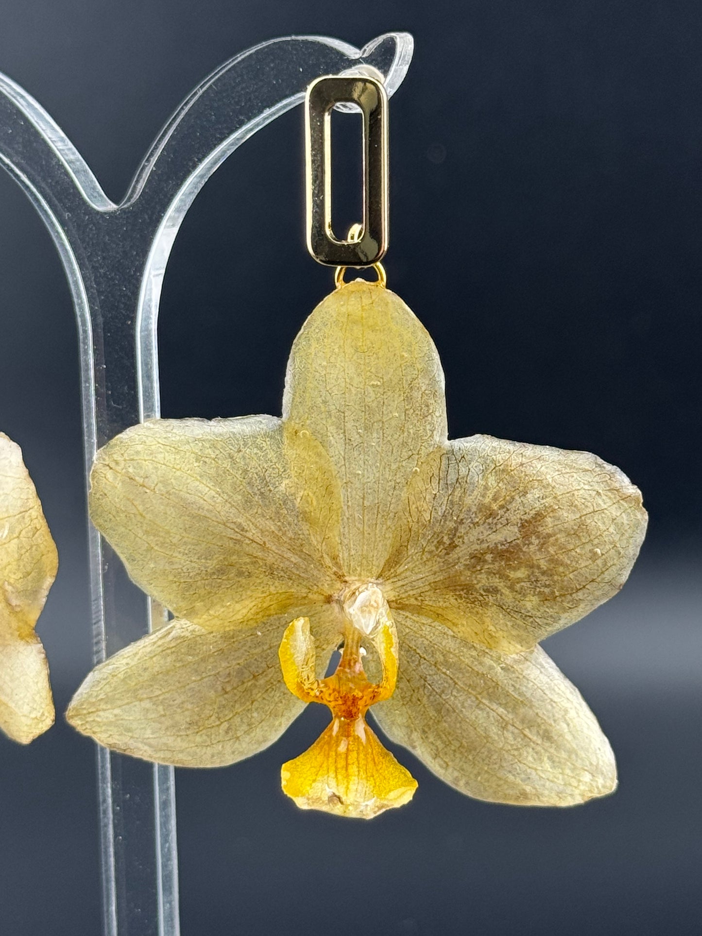 Echte Blütenohrringe aus Orchideen - Handgefertigt mit UV Harz #407