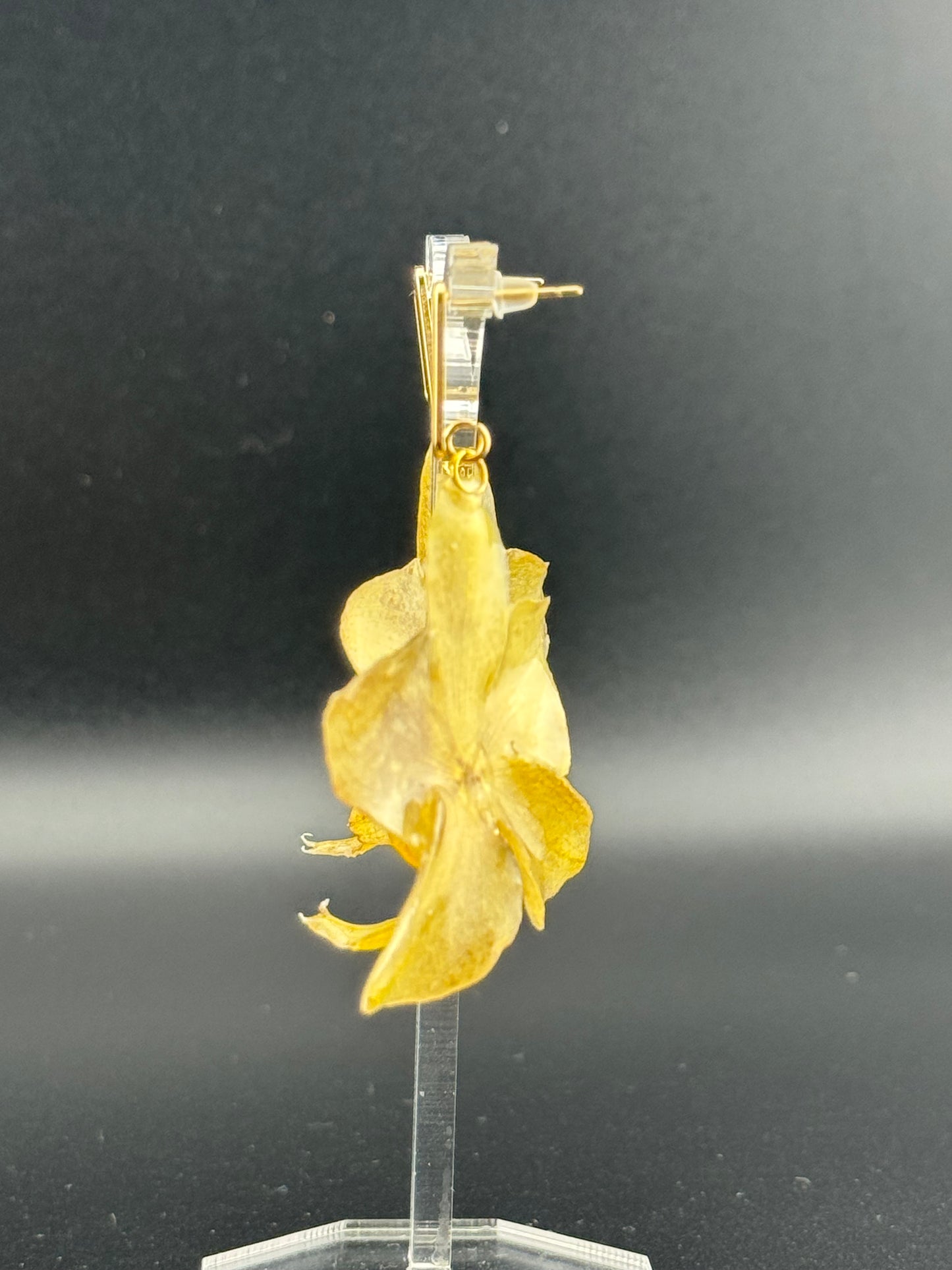 Echte Blütenohrringe aus Orchideen - Handgefertigt mit UV Harz #407