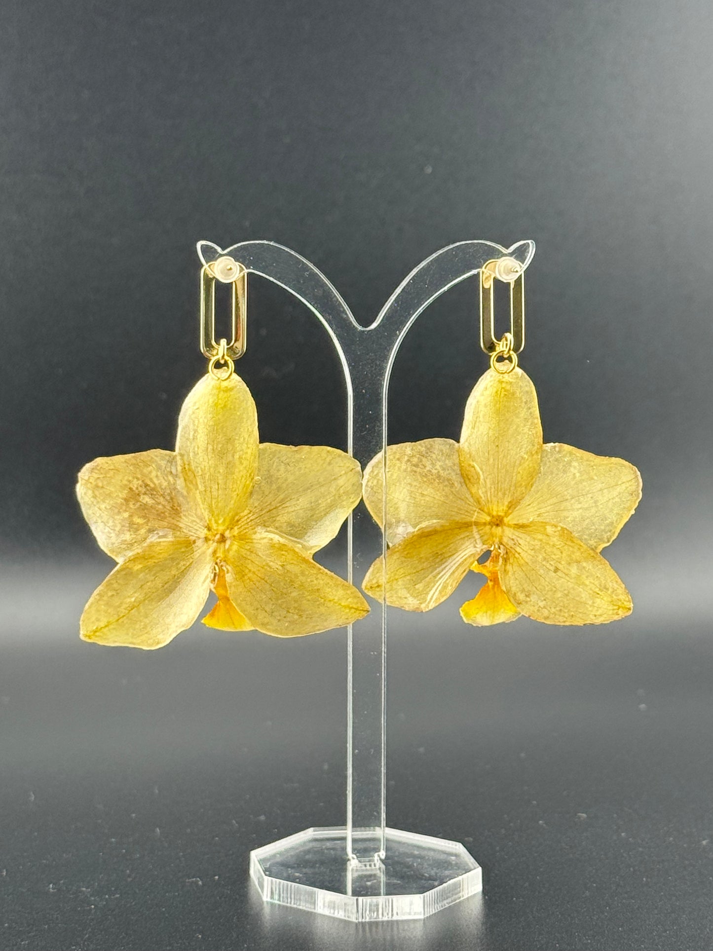 Echte Blütenohrringe aus Orchideen - Handgefertigt mit UV Harz #407