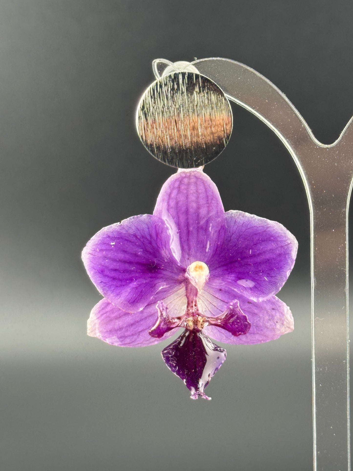 Echte Blütenohrringe aus Orchideen - Handgefertigt mit UV Harz #418