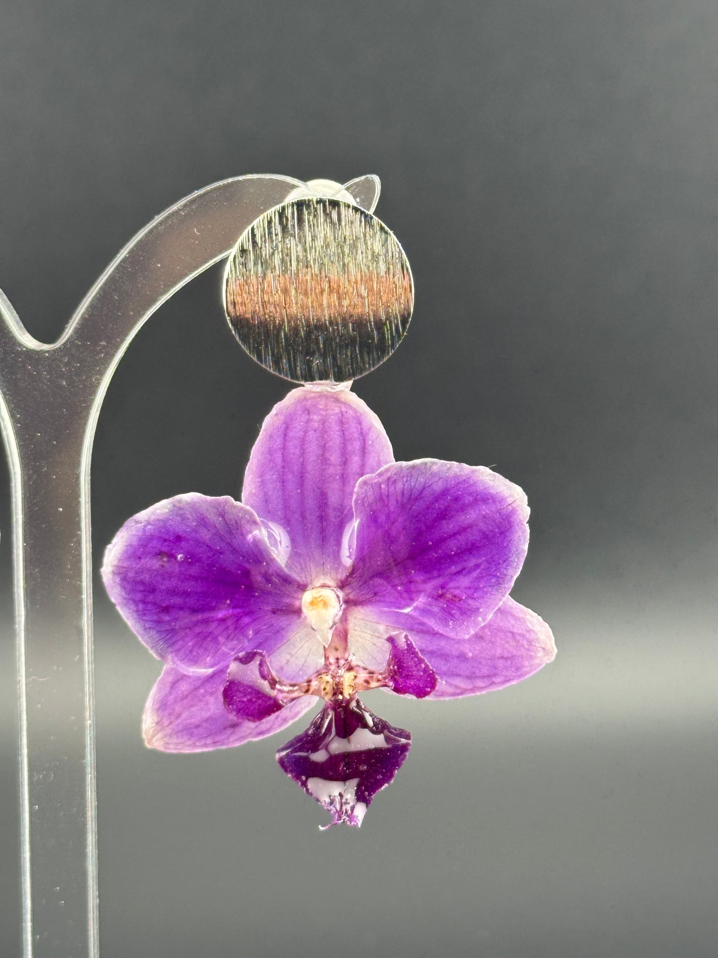 Echte Blütenohrringe aus Orchideen - Handgefertigt mit UV Harz #418
