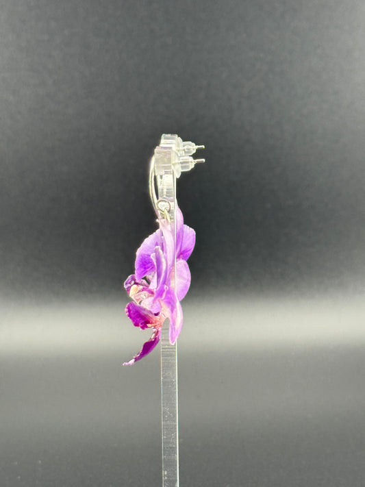 Echte Blütenohrringe aus Orchideen - Handgefertigt mit UV Harz #418