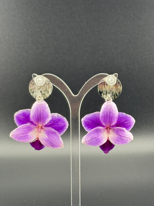 Echte Blütenohrringe aus Orchideen - Handgefertigt mit UV Harz #418