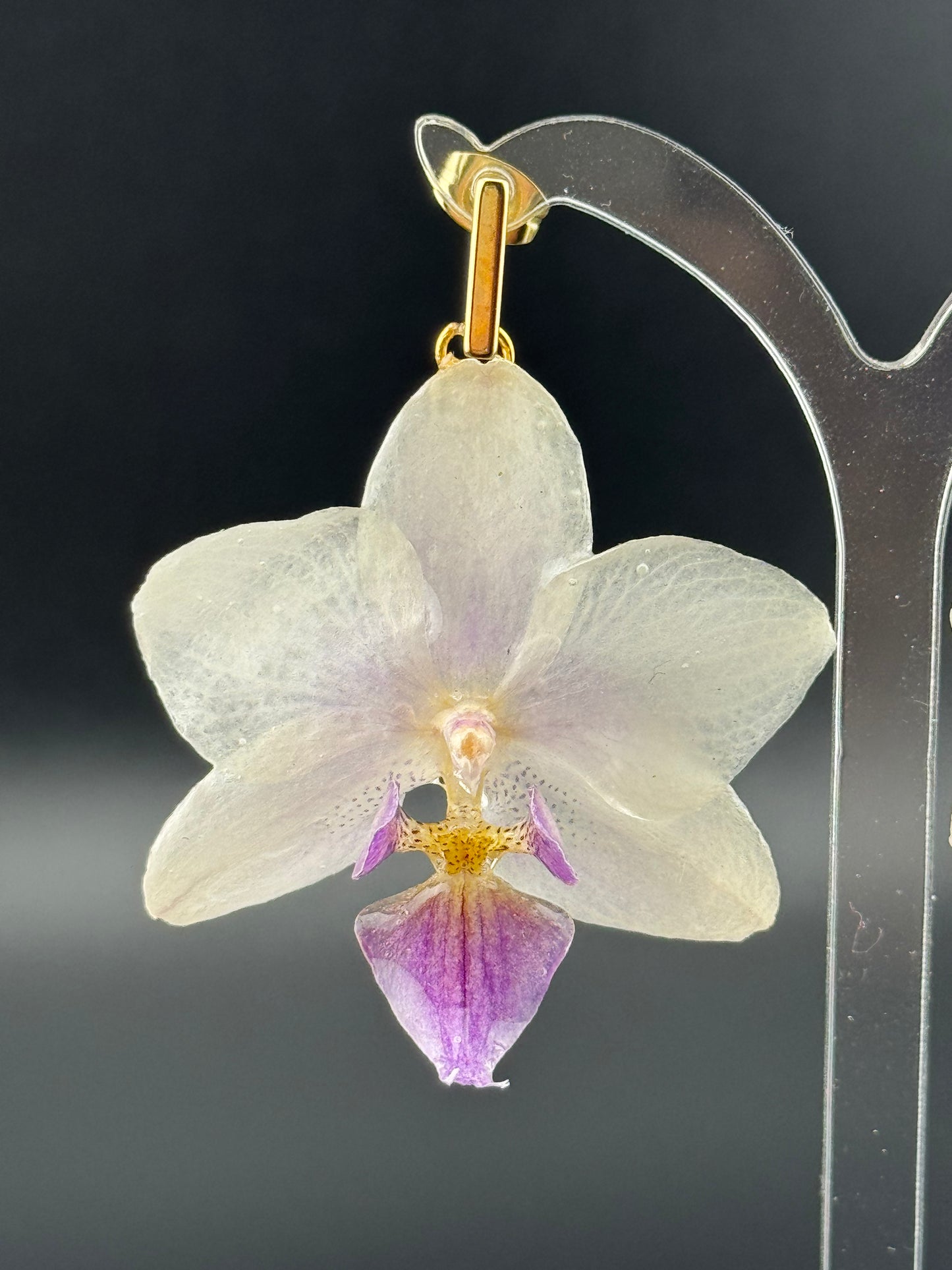 Echte Blütenohrringe aus Orchideen - Handgefertigt mit UV Harz #419