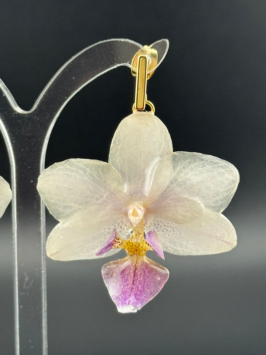 Echte Blütenohrringe aus Orchideen - Handgefertigt mit UV Harz #419