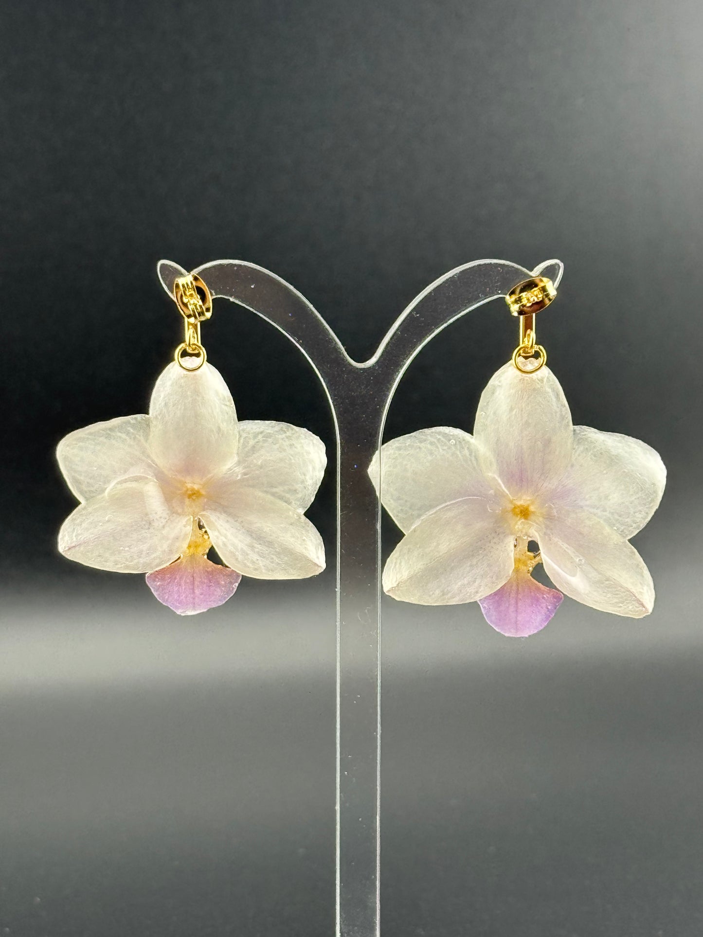 Echte Blütenohrringe aus Orchideen - Handgefertigt mit UV Harz #419