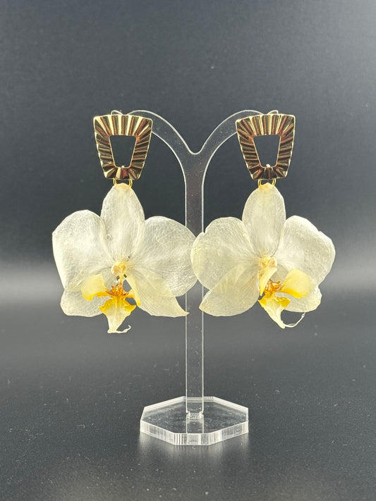 Echte Blütenohrringe aus Orchideen - Handgefertigt mit UV Harz #408