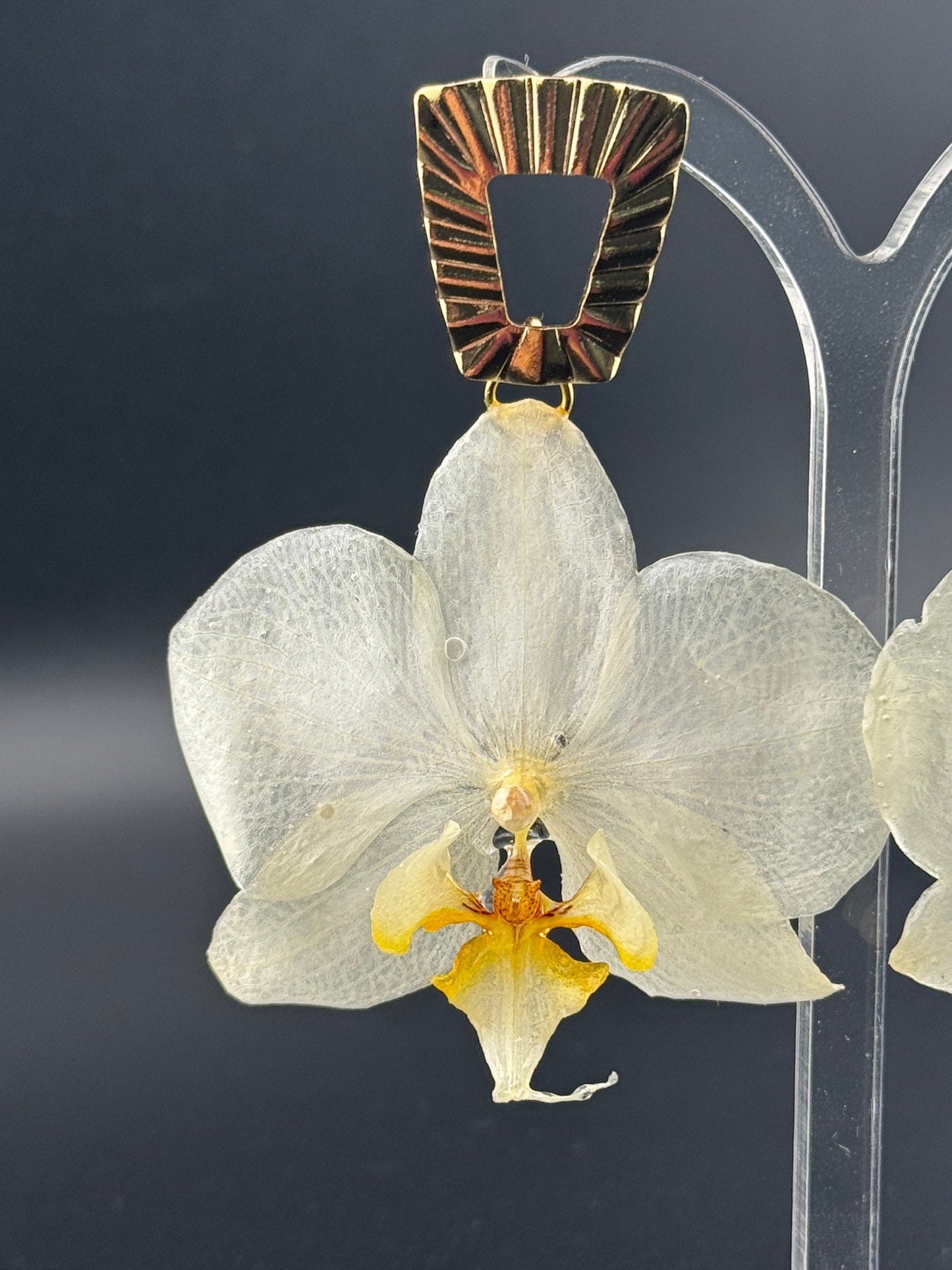 Echte Blütenohrringe aus Orchideen - Handgefertigt mit UV Harz #408