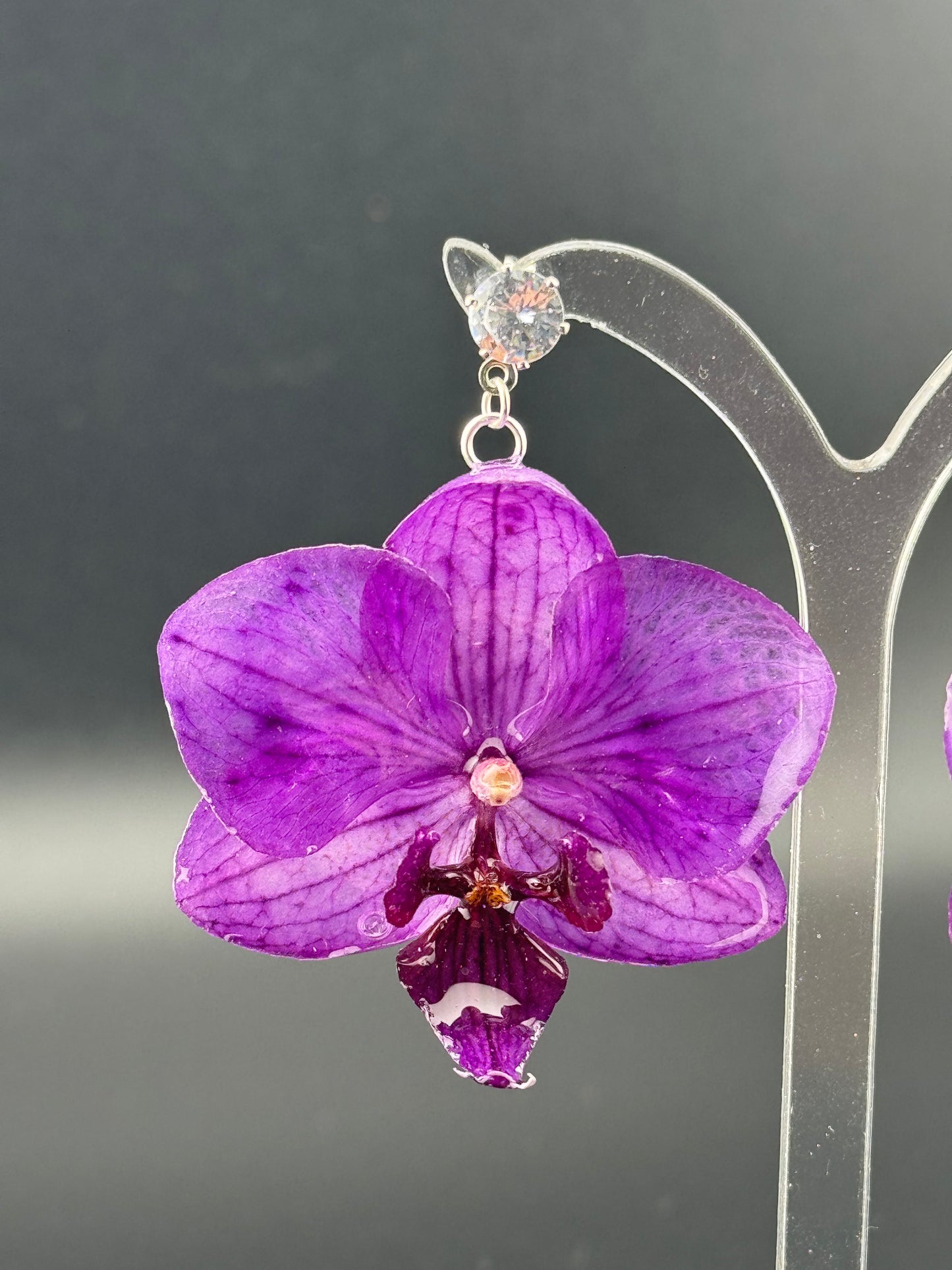Echte Blütenohrringe aus Orchideen - Handgefertigt mit UV Harz #409