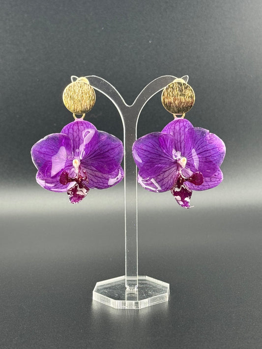Echte Blütenohrringe aus Orchideen - Handgefertigt mit UV Harz #410