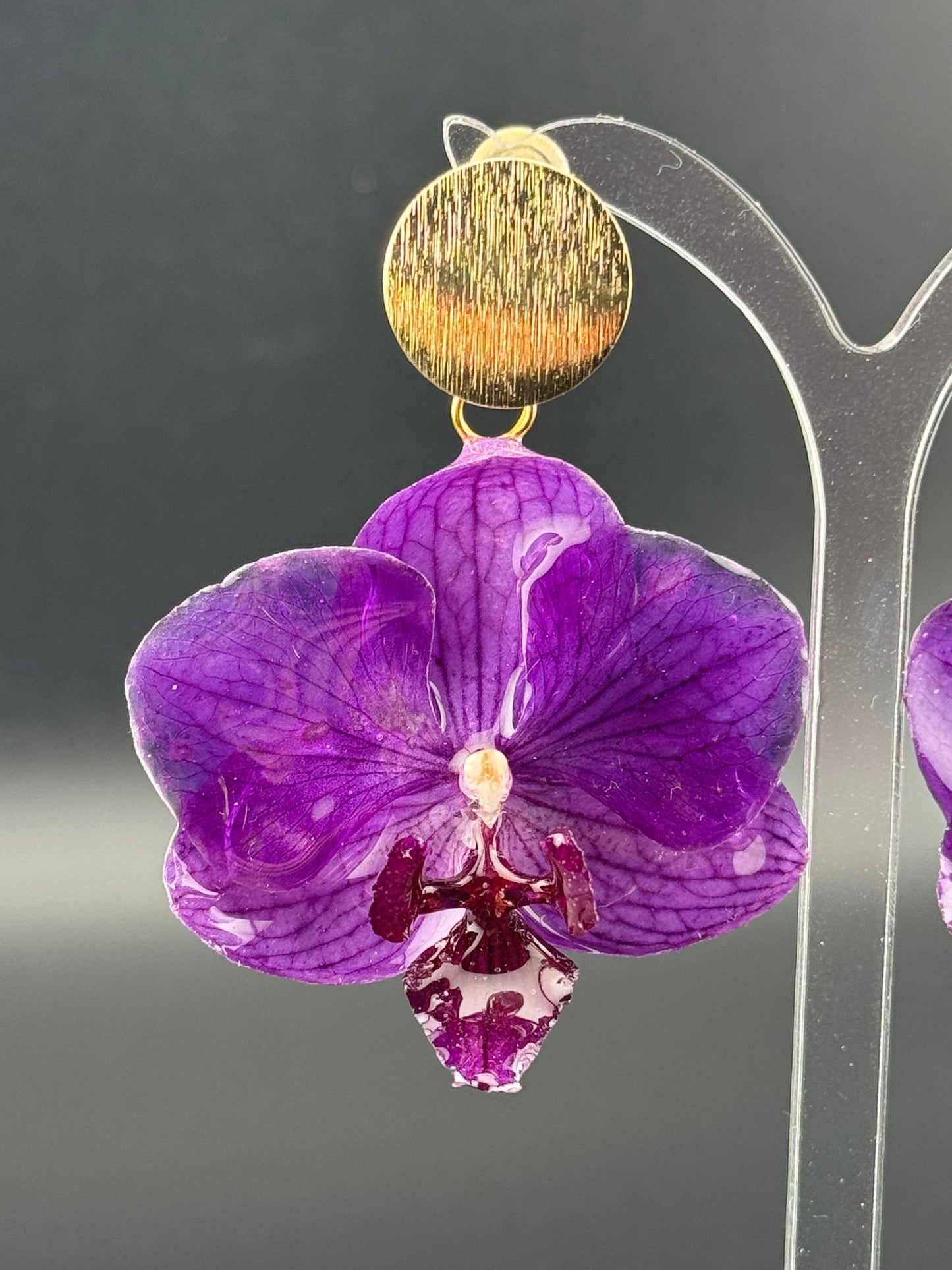 Echte Blütenohrringe aus Orchideen - Handgefertigt mit UV Harz #410