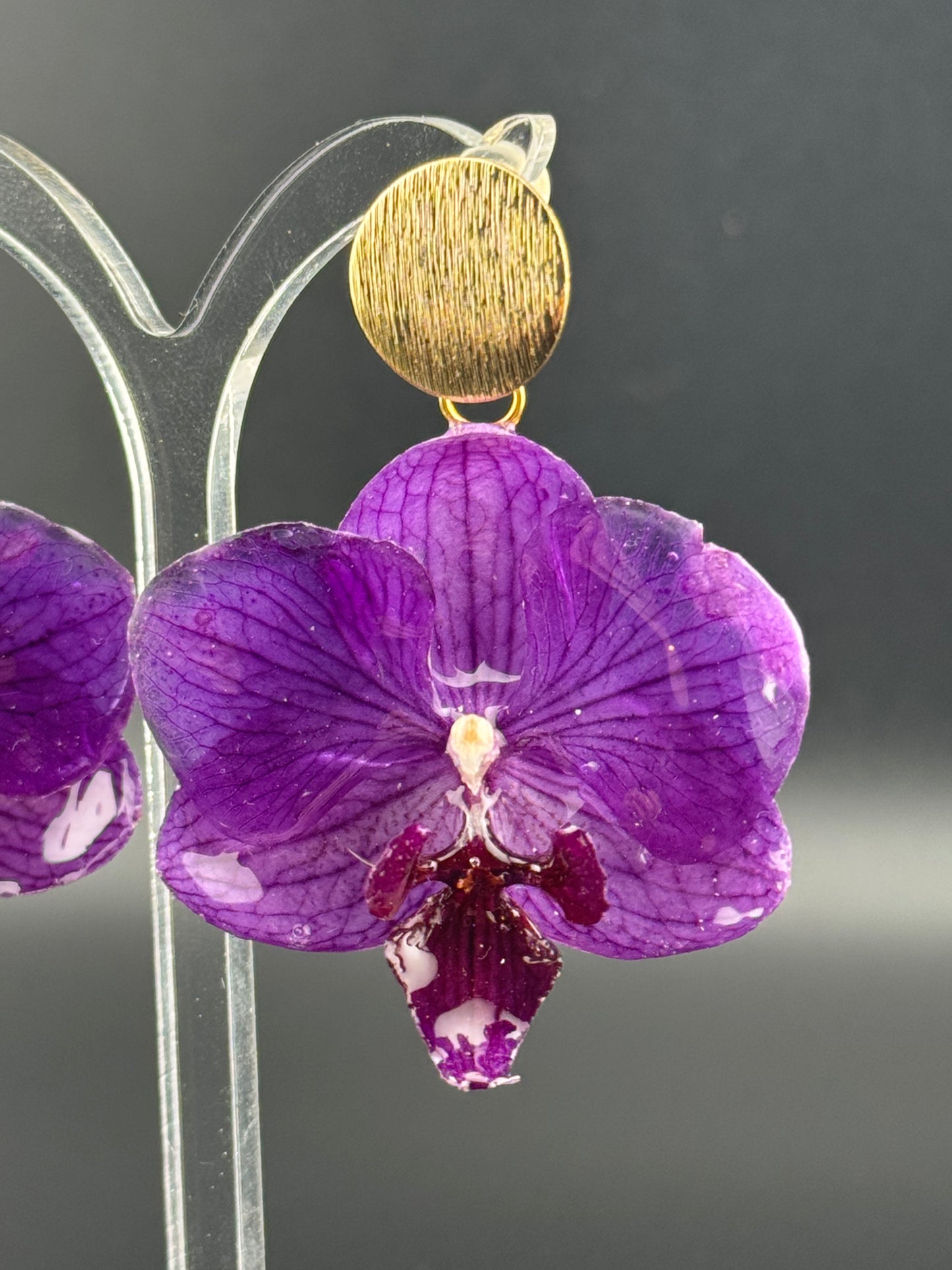 Echte Blütenohrringe aus Orchideen - Handgefertigt mit UV Harz #410