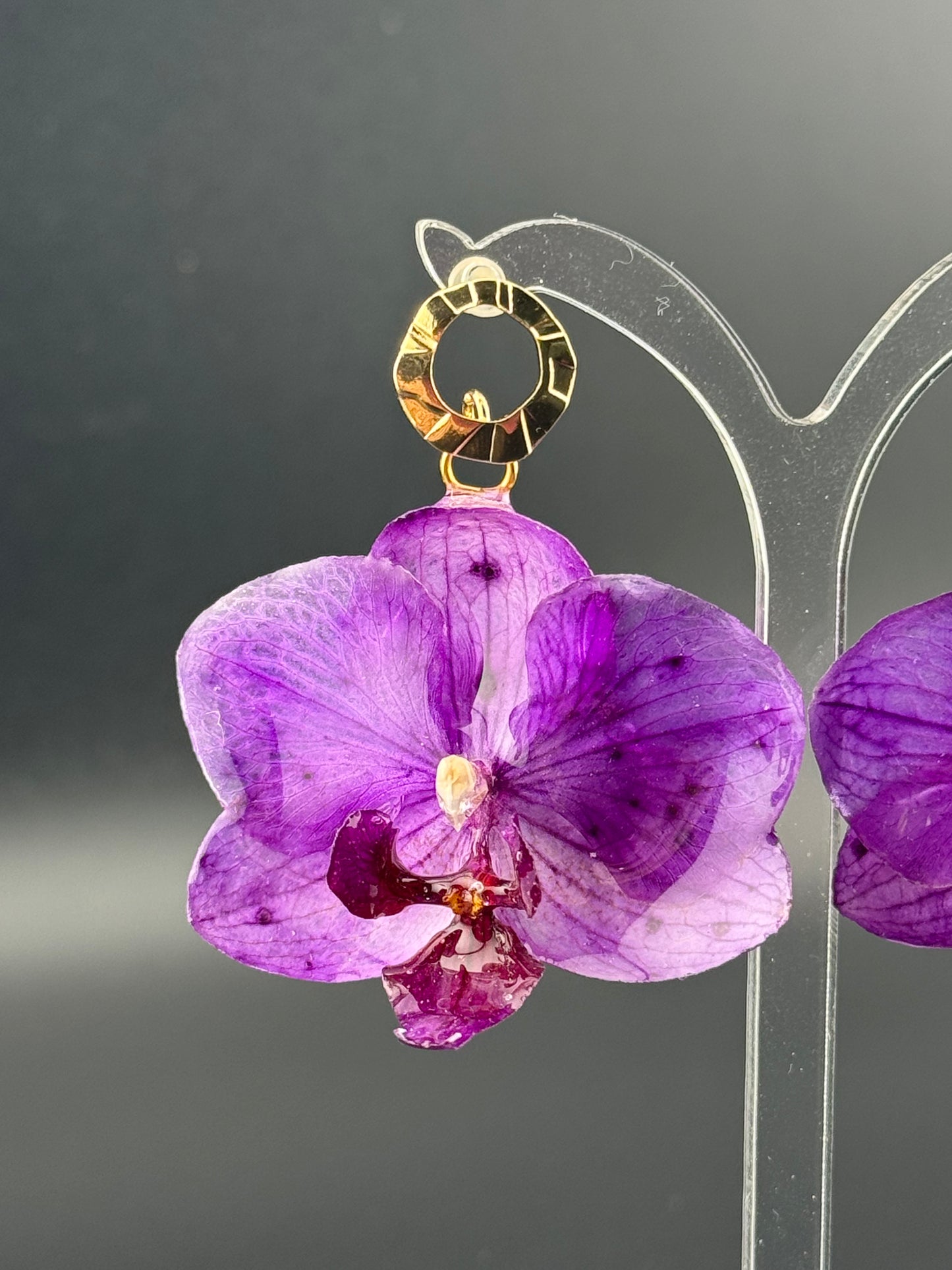 Echte Blütenohrringe aus Orchideen - Handgefertigt mit UV Harz #411