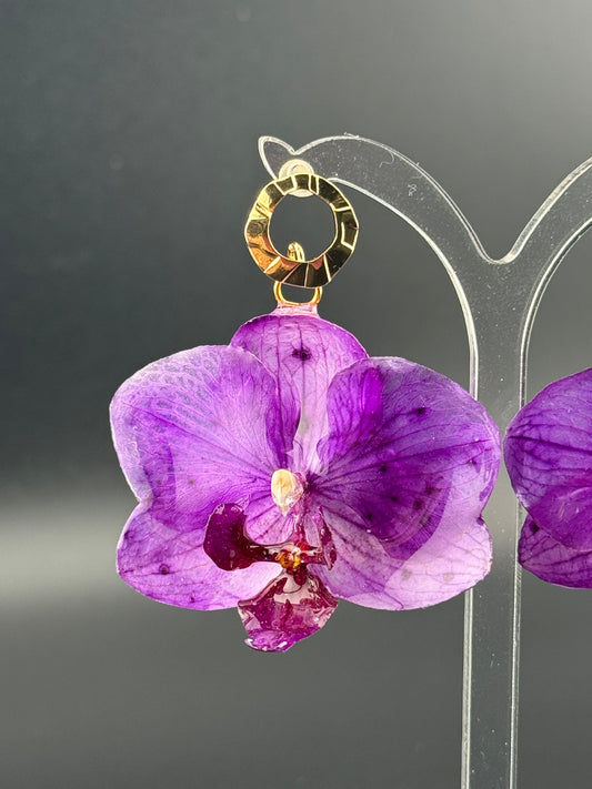 Echte Blütenohrringe aus Orchideen - Handgefertigt mit UV Harz #411
