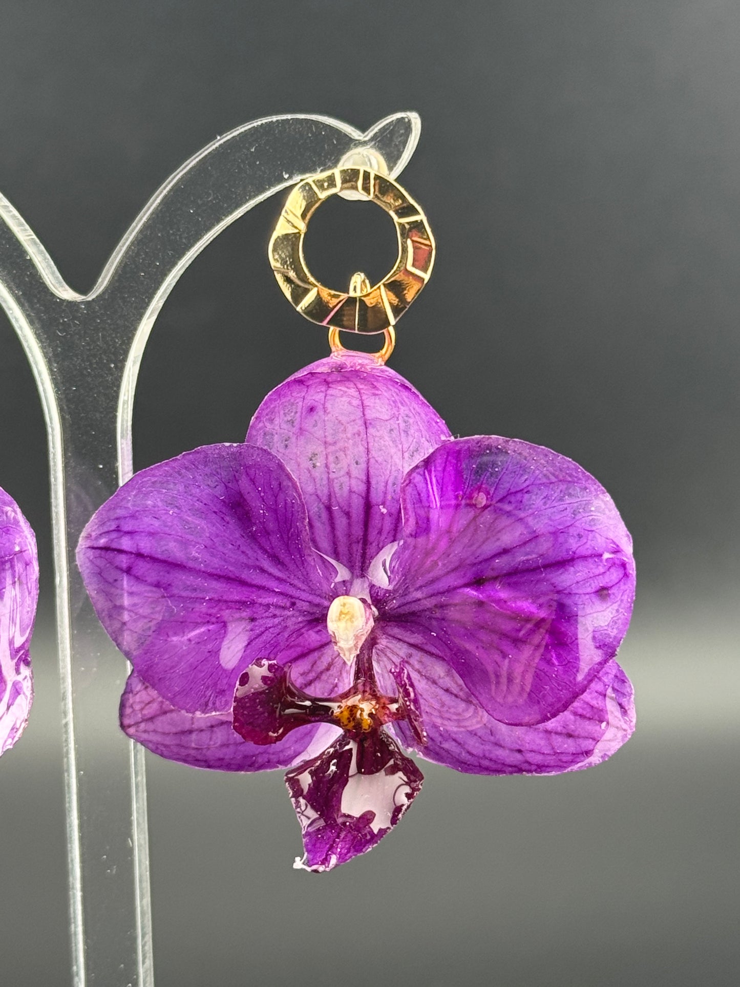 Echte Blütenohrringe aus Orchideen - Handgefertigt mit UV Harz #411