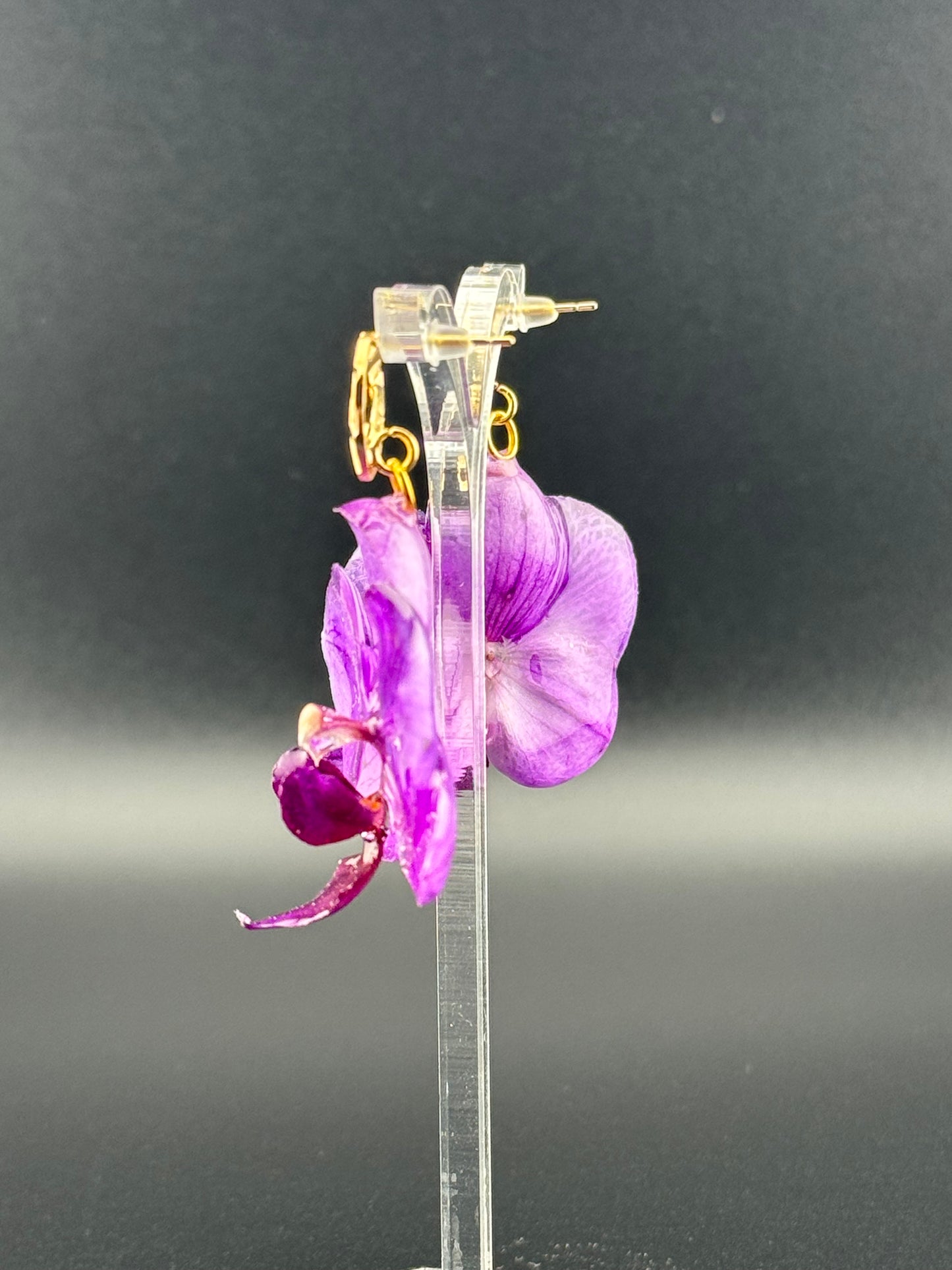 Echte Blütenohrringe aus Orchideen - Handgefertigt mit UV Harz #411