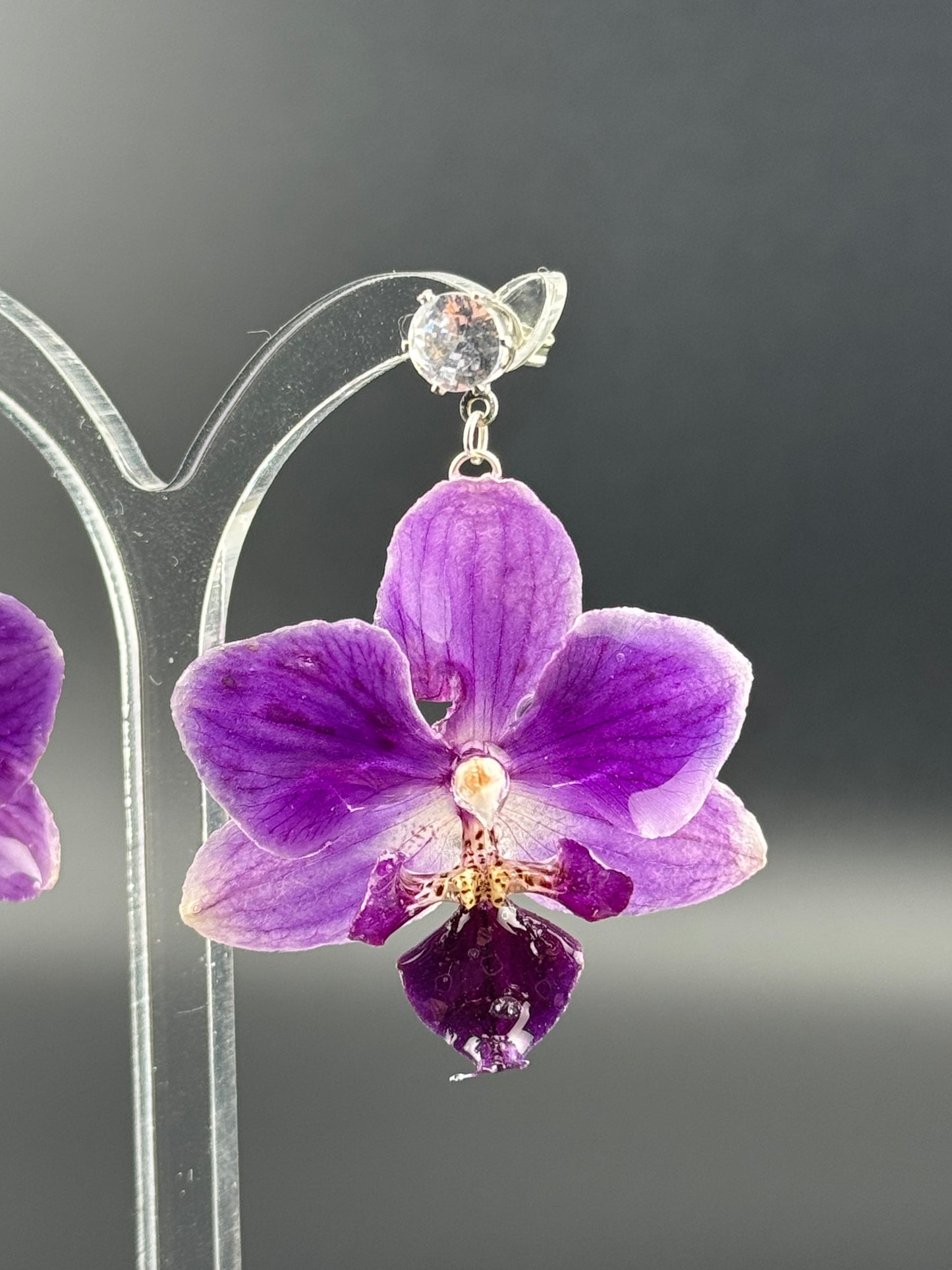 Echte Blütenohrringe aus Orchideen - Handgefertigt mit UV Harz #415
