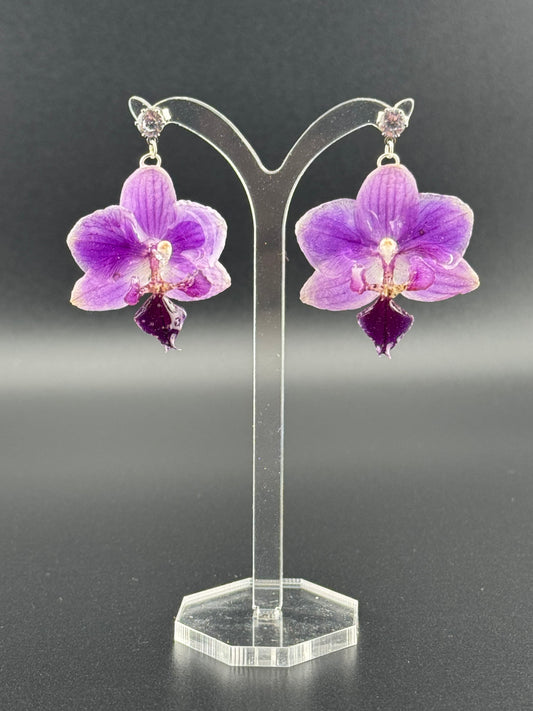 Echte Blütenohrringe aus Orchideen - Handgefertigt mit UV Harz #416