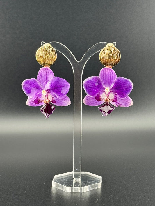 Echte Blütenohrringe aus Orchideen - Handgefertigt mit UV Harz #417