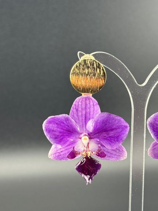 Echte Blütenohrringe aus Orchideen - Handgefertigt mit UV Harz #417