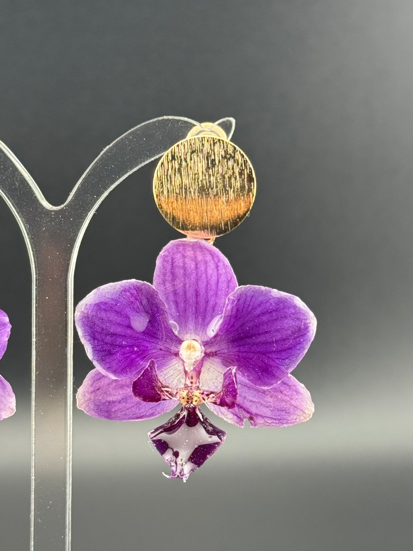 Echte Blütenohrringe aus Orchideen - Handgefertigt mit UV Harz #417