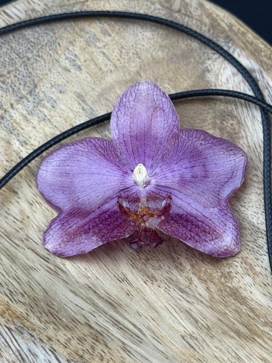 Echte Orchideenkette mit Lederband #601