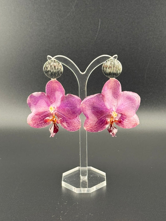 Echte Blütenohrringe aus Orchideen - Handgefertigt mit UV Harz #606
