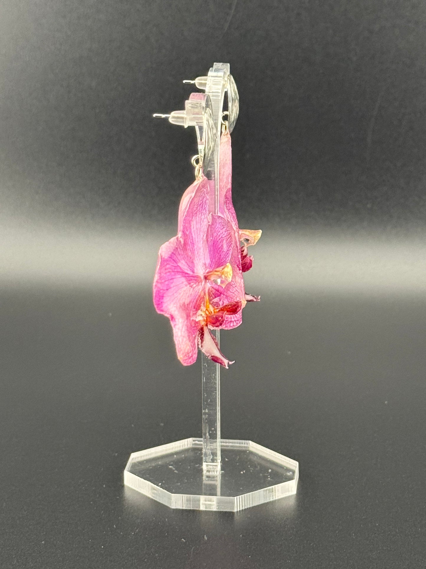 Echte Blütenohrringe aus Orchideen - Handgefertigt mit UV Harz #606